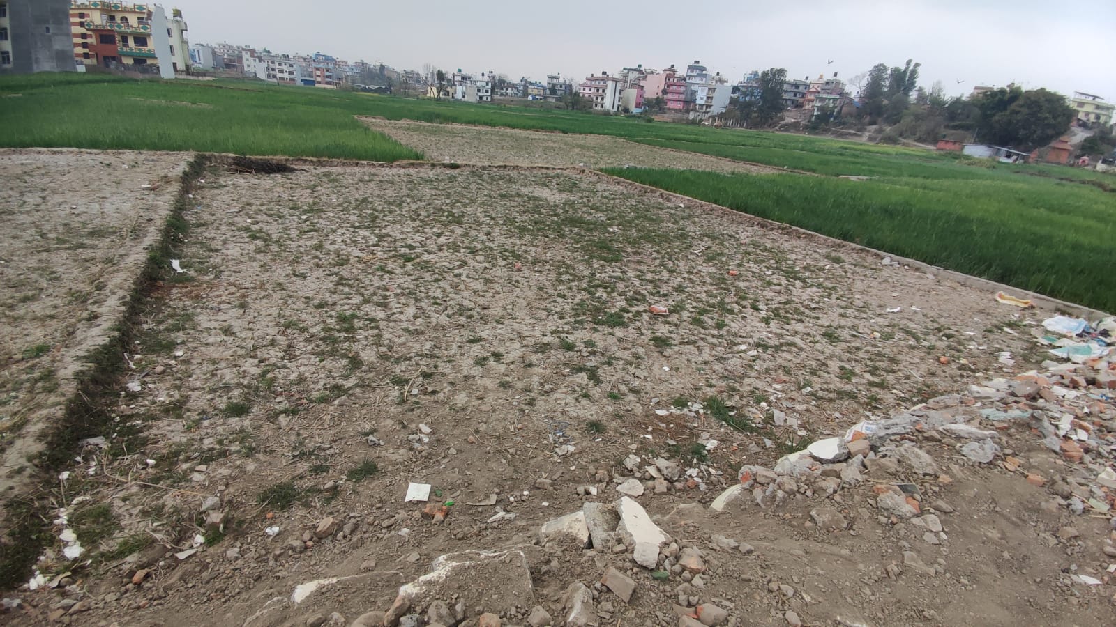 Picture of Mahalaxmi Municipality, Bagmati